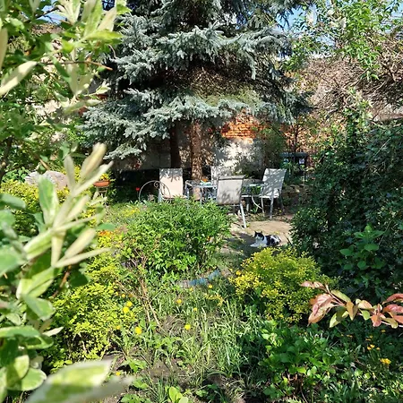 Apartament Rozana Przy Ice-3